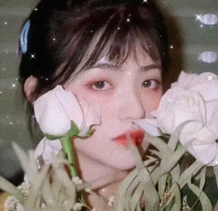 菲比梦游奇境