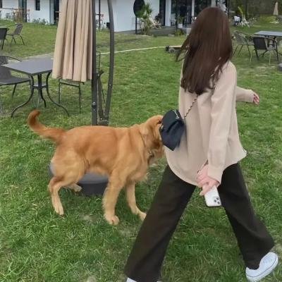 唐朝豪放女